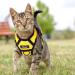 Breakproof Cat Dish & Adjustable Leash Set - Soft Reflective Kitten Vest for Small Cats (Yellow XS) - Buy Online on GoSupps.com