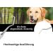 Stainless Steel Dog & Cat Tartar Remover Scaler Tooth Cleaner - Effective Dental Care Tool for Pets | Toothbrush Alternative - Buy Online on GoSupps.com