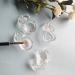 2-Piece Clear Nail Art Acrylic Liquid Powder Dappen Dish Bowl Set with Lid - Glass Crystal Cups for Nail Techs - Buy Online on GoSupps.com