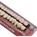 Angzhili 2 Sets (56PCS) Dental Acrylic Resin Denture Tooth Kit False Tooth for Halloween Horror Prop 23 A2 - Buy Online on GoSupps.com