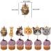 SAMOKA Cat Cupcake Toppers 24 PCS Pet Cat Themed Birthday Party Supplies Baby Shower Party Decorations(double-sided) - Buy Online on GoSupps.com