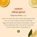 Method Gel Dish Soap Citrus Grove 18 Fl Oz (Pack of 6) | Biodegradable Formula, Tough on Grease - Buy Online on GoSupps.com