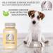 Pet Delight Wurm Treats - Natural Worm Cure for Dogs Cats & Birds | 1 Pack De-Wormer - Buy Online on GoSupps.com