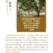 Pu-erh tea 2017 Yi Wu Hongyin 357g Raw - Buy Online on GoSupps.com