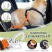 Buy Slowton XS Dog Harness with Seat Belt Breathable & Safe Car Gear for Dogs | 2 Carabiner Hooks | Orange Color - Buy Online on GoSupps.com