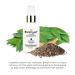 Punkie Spice Leave-In Detangler - Henna & Chia Seed Extracts for Hydrated Knot-Free Radiant Hair (4oz) - International Shipping Available - Buy Online on GoSupps.com