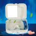 Prosthesis Container - Storage Box for Artificial Teeth with Mirror & Cleaning Brush | Durable Prosthesis Case - Buy Online on GoSupps.com