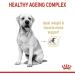 ROYAL CANIN Labrador Retriever Adult 5+ 12kg - Buy Online on GoSupps.com