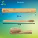 Eco-Friendly Bamboo Toothbrush Set | 4 Soft Bristle Brushes & Storage Box | 100% Biodegradable & Plastic-Free Packaging - Buy Online on GoSupps.com