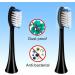 Replacement Brush Heads for Olybo Electric Toothbrush - Set of 6 Black Replacement Brushes - Buy Online on GoSupps.com