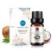 Coconut Essential Oil Pure Undiluted Premium Grade Coconut Oil - 10 mL Coconut 10 ml (Pack of 1)