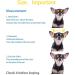 leconpet Baseball Caps hats with Neck Strap Adjustable comfortable Ear Holes for small Medium and Large Dogs in Outdoor Sun Protection (S Colour Flower) S (Pack of 1) Colour Flower - Buy Online on GoSupps.com