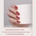 Nail Polish Set Autumn Winter 3 Colors Tangerine Nail Varnish Set Water Based Natural Wine Red Nail Varnish Milk Tea Color Nail Polish for Women No Need Bake 13ML - Buy Online on GoSupps.com
