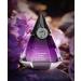 7'S Unisex Perfume Long-Lasting Luxury Fragrance for Men & Women Eau de Parfum 100ml for Valentine's Day & Special Occasions (AMETHYST AURA - Fresh) - Buy Online on GoSupps.com