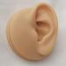 Human Ear Model Silicone Ear Model Display Tool Practice Piercing Tools 1:1 Human Ear Model Use for Perforation Practice Tool Acupuncture Education Human Ear Display Tool (Pair) - Buy Online on GoSupps.com