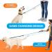Premium Bungee Dog Leash for Medium & Large Dogs - Reflective Elastic Walking Leash with Jerk Dampers (Blue-Green) - Buy Online on GoSupps.com