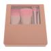 Cosmetic Brushes Travel Min Makeup Brush Set Portable Fine Workmanship for Home (Roseate)
