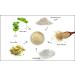 Raya Bio-Sulfur Masque | Deep Cleansing Facial Clay Mask for Oily Skin | Exfoliating Face Pack with Vitamin-B & Bio Sulfur | Control Breakouts & Oiliness - Buy Online on GoSupps.com
