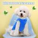 Cool Vest for Dogs | Breathable Summer Dog Shirt for All Sizes - Perfect for Outdoor Activities - Buy Online on GoSupps.com