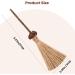 Aucenix Cat Chew Toy Silvercine Sticks for Indoor Cats Natural Matatabi Cat Teeth Cleaning Toy Kitten Teething Chew Stick for Kitty Pets Exercise Playing Chewing (2 Brooms) - Buy Online on GoSupps.com