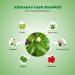 Adivasi Herbal Shampoo - Nourishing Hair Growth & Healthy Scalp | 100ml - Buy Online Worldwide - Buy Online on GoSupps.com