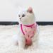 Clrybo Katzenbody - Professional Recovery Suit for Cats & Dogs | Post-Op Anti-Trim Clothing for Wounds & Skin Conditions | International Shipping Available - Buy Online on GoSupps.com