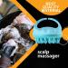 Buy Dijiusidy Scalp Massager & Head Scrubber - Relaxation & Dandruff Removal Tool | Blue Bathroom Accessory - Buy Online on GoSupps.com