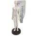 Palank female acupuncture meridian model for the human body 48 cm large human acupuncture point model Chinese acupuncture model pressure point acupuncture model