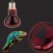 Tenlacum 40/50/60/75/100W Infrared Basking Spot Lamp Single Max Heat Reptile Red Bulb Light (40W) - Buy Online on GoSupps.com