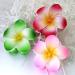 8pcs Flower Claw Clip Set - Cute Hawaiian Hair Clips for Women and Girls - Strong Hold Nonslip Design - Perfect Gift Idea - Buy Online on GoSupps.com