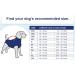 MPS Medical Pet Shirt for Extra Large Dogs - Blue XL | Comfort & Care for Your Pet - Buy Online on GoSupps.com
