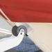 Haoguo Boat Keel Guard 316 Stainless Steel 9.9''x9.9'' with 3M HVB Adhesive | Professional Bow Protector for Ships and Yachts - Buy Online on GoSupps.com
