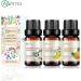 Organic Coconut Vanilla Mango & Pineapple Essential Oil Set | 100% Pure 10ML for Diffuser Spa & Massage - Buy Online on GoSupps.com