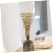 HOMSFOU 3 Bunches Imitation Golden Powder Berry Fake Christmas Picks Christmas Tree Decoration Sparkling Floral Sprays Artificial Berry Twig Stem Autumn Berry Picks Plastic Holly Vase - Buy Online on GoSupps.com