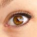 Cosline Kajal & Eyeliner No. 102 - Brown Waterproof Soft Application Vegan | Made in Germany - Shop Now! - Buy Online on GoSupps.com