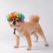 Funny Dog & Cat Role Play Wigs for Halloween & Christmas - Colorful Pet Costumes for Small Medium & Large Dogs - Buy Online on GoSupps.com