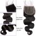 Maxine Hair 16 Inch Body Wave 5x5 Transparent Lace Closure Virgin Brazilian Human Hair Swiss Lace Closure with Baby Hair - Natural Color, 16 Inch HD Wig - Buy Online on GoSupps.com