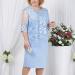 Womens Plus Size Floral Lace Sheath Dress - Knee Length Work Casual Party Cocktail (XXXL Blue-1) - Buy Online on GoSupps.com