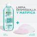 Garnier Pure Active Mat Control Agua Micellar Makeup Remover - Buy Online on GoSupps.com