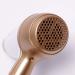 CLCulture Hair Dryer Negative Ionic Fast Dry Low Noise Hair Dryer - Buy Online on GoSupps.com