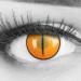Colored contact lenses 1 pair of orange demon nezuko cat orange anime manga - highly opaque - Heroes of Cosplay - Annual lenses for costumes cosplaye Halloween with free lentil container - without strength 2 pieces (1 Pack)