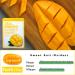 FARMSTAY Real Essence Mask (10 Sheets) - MANGO | Premium Korean Skin Care Sheet Mask for Glowing Skin - Buy Online on GoSupps.com