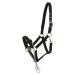 HorseGuard halter with chain black Control halter with chain Stallion halter C/S COB VB Thoroughbred