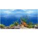 Hidom Aquarium Background Poster Double Sided - Height 19" / 50cm - Length 3 FT / 92cm - Two Scenic Pictures displaying Aquatic Backdrops - DS 500-9093/9094-3 3 FT (92cm) - Buy Online on GoSupps.com