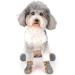 Zweitea Dog Shoes for Small Dogs - Breathable Slip-Resistant Reflective Boots for Chihuahua - Durable Paw Protection in Orange - Ideal for All Outdoor Adventures - Buy Online on GoSupps.com