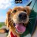 Anigo Soul Peace Drops - Natural Anti-Stress Liquid for Dogs Cats & Pets | Relaxation & Calm | 110ml - Buy Online on GoSupps.com