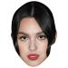 Celebrity Cutouts Olivia Rodrigo (Lipstick) Celebrity masks