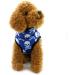 Smalllee Lucky Store Waterproof Dog Jacket | Winter Coat for Small Dogs & Cats | Chihuahua & Shih Tzu Sizes | Pet Clothes & Accessories - Mini L (Chest: 45cm Back: 38cm) - Blue - Buy Online on GoSupps.com