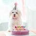 Pet Birthday Hat Dog Cat Cone Hat with Bow Tie Collar Party Costume Adjustable Sequin Headwear Set for Cute Puppy Kitty 2pcs - Buy Online on GoSupps.com