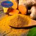  HOME LINE Mediterranean Turmeric Powder - 250g Envelope | Gluten Free Vegan | Raw Aromatic Spice 100% Pure & Natural Allergen & GMO Free - Buy Online on GoSupps.com